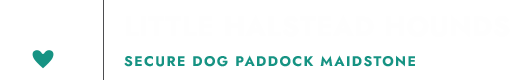 Little Halstead Hounds
